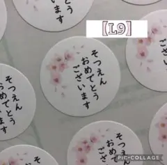 【L9】卒園おめでとうシールプチギフトラッピング記念品自治会子供会卒団卒対