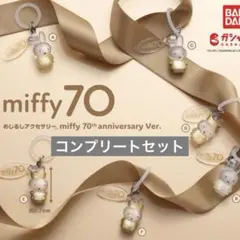 めじるしアクセサリー miffy 70th anniversaryVer 全6種