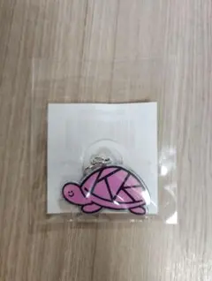 亀梨和也さん　WISH UPON A KAME 　アクリルチャーム