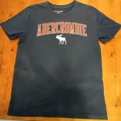 Abercrombie Kids Tシャツ 11/12 ネイビー　140〜150