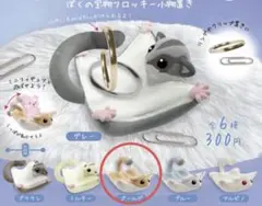 2026年最新】ももんがぷれーとの人気アイテム - メルカリ