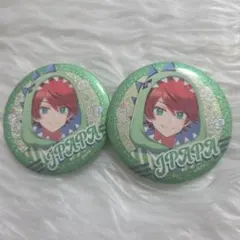 カラフルピーチ からぴち じゃぱぱ ダイナー 缶バッジ 2個セット