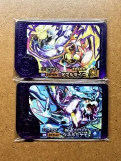 ポケモンフレンダ5弾　タケルライコ　ウネルミナモ　スーパートレジャー　ST