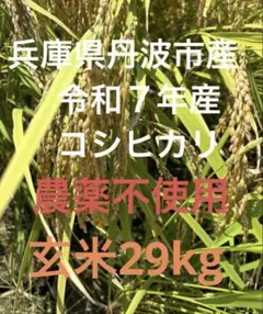 こばやし様専用 農薬不使用コシヒカリ天日干し 3分づき20キロ もみ