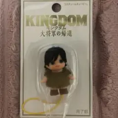 実写 劇場版 映画 キングダム 大将軍の帰還 コスチューム キューピー 河了貂