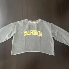 Item thumbnail for item 0aa64103-f304-490c-9471-45eaad17c9af