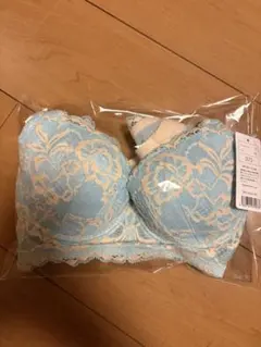 HEAVEN Japan ビスチェリーナ ブラジャー D75 ベビーブルーのサムネイル