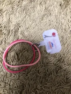 【新品未使用】evian 携帯リングストラップ パリエディション