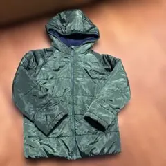 Item thumbnail for item 3cdb1053-0bce-4b00-a285-2182ffea6f24