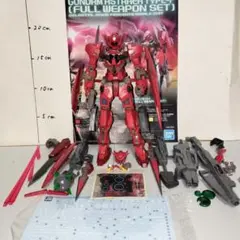 2026年最新】mg 1/100 ガンダムアストレア type-f(フルウェポンセット
