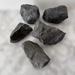 極めてレア ナラオイア（Naraoia spinosa）カンブリア爆発 - メルカリ