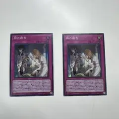 遊戯王OCG 神の密告 スーパー2枚