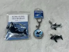 鴨川シーワールド くるくるキーホルダー 雨の海に浮かぶ シャチ 須磨シーワールド