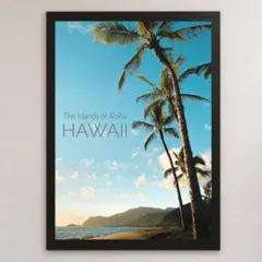 2026年最新】Hawaiian6 ポスターの人気アイテム - メルカリ