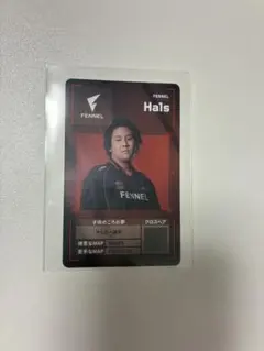 2026年最新】FENNEL valorantの人気アイテム - メルカリ