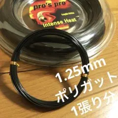 pro's pro Intense Heat (黒)1.25mm 12m ガット