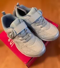 Item thumbnail for item f4263614-1f3e-43d9-86b9-bfd74c3ca872