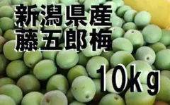 藤五郎梅 ラストセール！新潟県産 8kg 8700円◇梅干し 梅酒用 - メルカリ