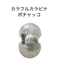 サンリオキャラクターズ　カラフルカラビナ　マスコットチャーム　ポチャッコ