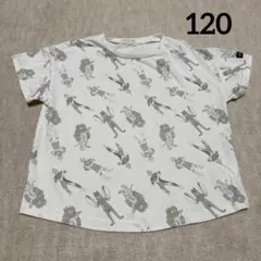 Item thumbnail for item e46b61b2-2fde-44ec-b274-ff639cf9d874