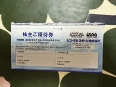 セントラルスポーツ 株主ご優待券 １枚2026年6月30日までのサムネイル