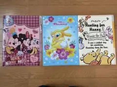 ディズニー クリアファイル3枚 仕切り付き