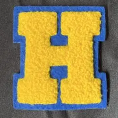 【H】アルファベット サガラ刺繍 縦6.5cm ワッペン 他色あり まとめ割引⭕️