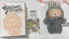 2026年最新】POPMART labubu シークレットの人気アイテム - メルカリ