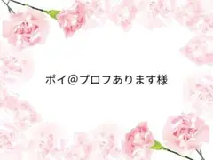 ポイ@プロフあります様 リクエスト 2点 まとめ商品