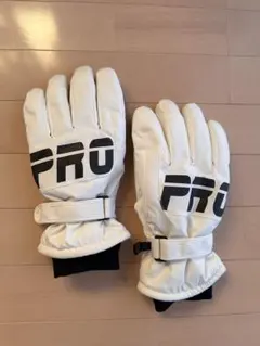 Item thumbnail for item 5df3f92d-c219-4ef1-b567-937e772f654f