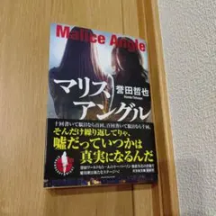 マリスアングル