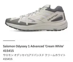 Salomon Odyssey Advanced サロモン オデッセイ 2026年最新】salomon advanced odysseyの人気アイテム - メルカリ
