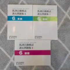 2026年最新】馬渕 公開模試 小3の人気アイテム - メルカリ