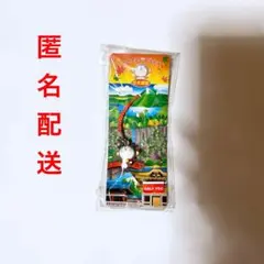 ドラえもん　ストラップ　さる　日光限定　ご当地ストラップ　どこでもドラえもん