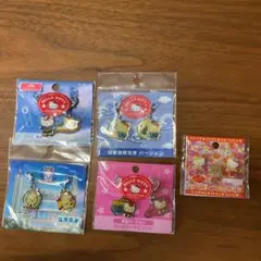 新品未使用　ご当地キティ　地域限定　ファスナーマスコット　ピンバッヂ　セット