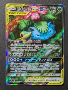 フシギバナ＆ツタージャGX SM11a 066/064 SR
