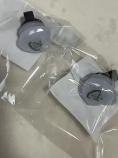 Item thumbnail for item 308b2ec2-d45e-4a65-ba3a-bb276bd1b091