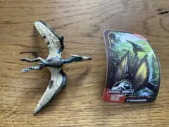 Item thumbnail for item cd5e9b24-108b-4fee-9969-cc3d847c39a5