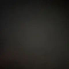 さち様専用のサムネイル