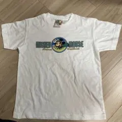 Item thumbnail for item 9bb0f1f3-e3f2-4d47-ae77-7ee125af83ba