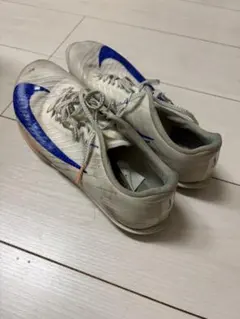 マックスフライ2のサムネイル