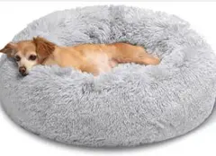 Item thumbnail for item d6f2c357-d3e4-4be3-9d5d-4243b6b031c4