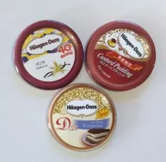 ハーゲンダッツ 缶バッジ3個セット