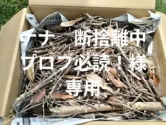 ①【ナナ　断捨離中プロフ必読！様専用①】　 乾燥小枝　100サイズ【18F1】