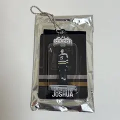 SEVENTEEN's HOME アクリルキーリング ジョシュア