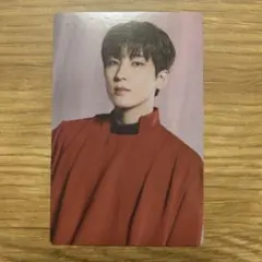 SEVENTEEN POWER OF LOVE トレカ ウォヌ