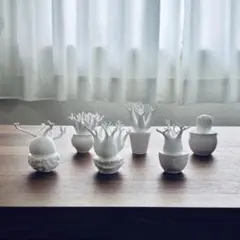 1LDK BOTANIZE ボタナイズ グラキリス フィギュア メディコムトイ
