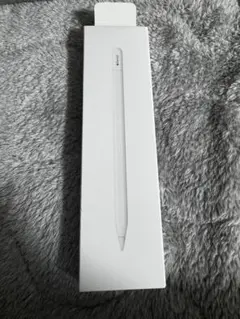 Apple Pencil (USB-c)