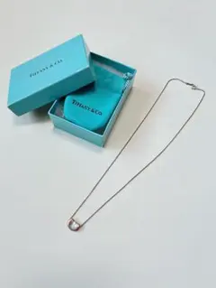 2025年最新】ティファニー ビーンズ シルバー ネックレスの人気