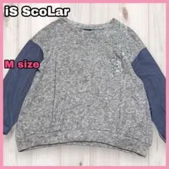 iS ScoLar 蝶花刺繍アップリケ ニットソー×チュール切替プルオーバー